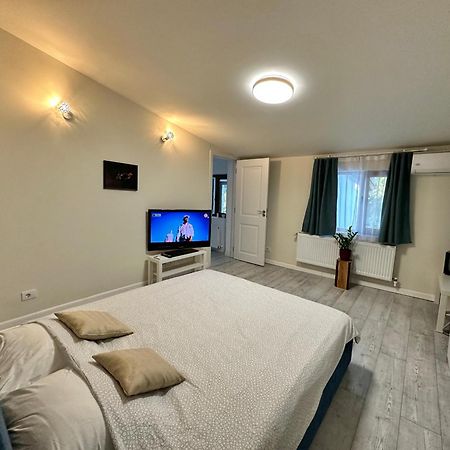 ブカレスト Interbelic House With Courtyard And Terraceヴィラ エクステリア 写真
