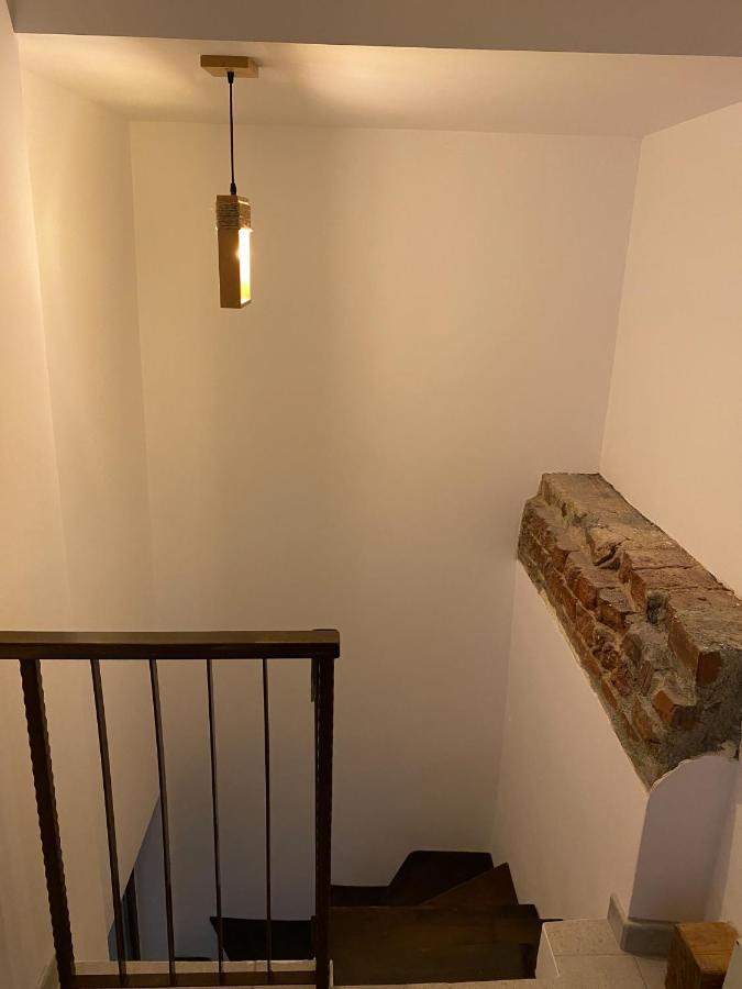 ブカレスト Interbelic House With Courtyard And Terraceヴィラ エクステリア 写真